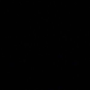 Meet your Posher, Kara